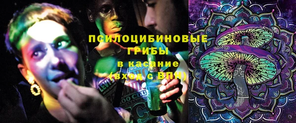 дмт Михайловск